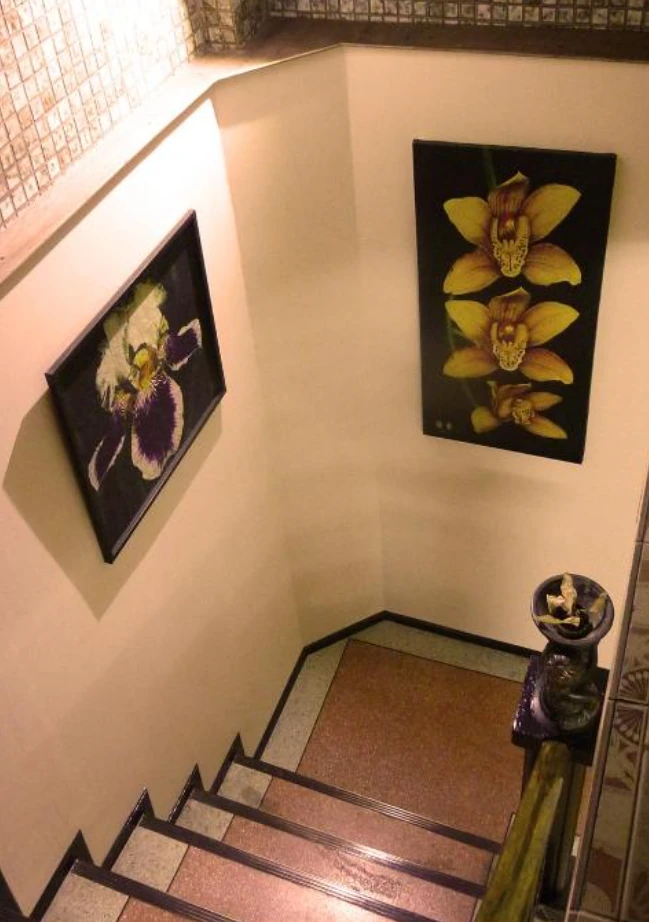 Staircase leading to the upper floors of Born Free Hostel Bangkok
